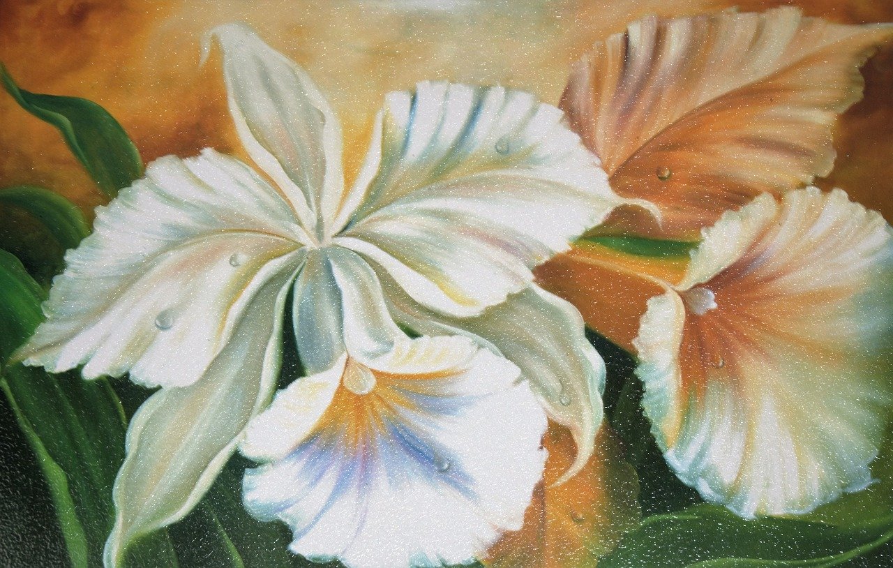冬梅连环画，传统艺术的魅力与传承的见证