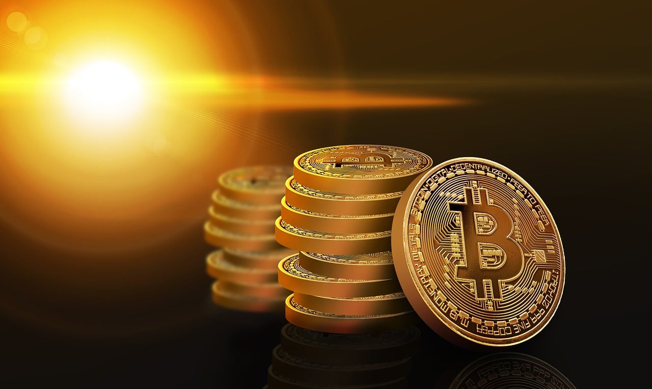 最新柏子价格揭秘，价格走势与影响因素深度解析