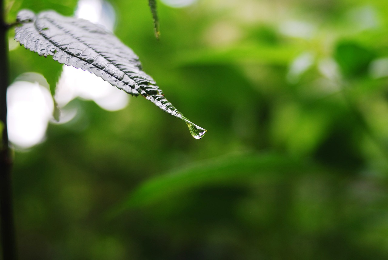 昆玉九里最新房价动态及深度分析