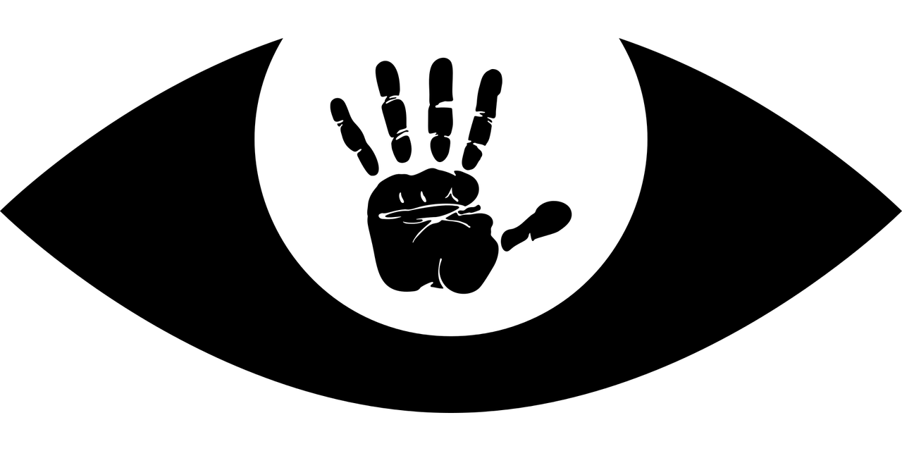 江楷鑫的最新消息与动态更新