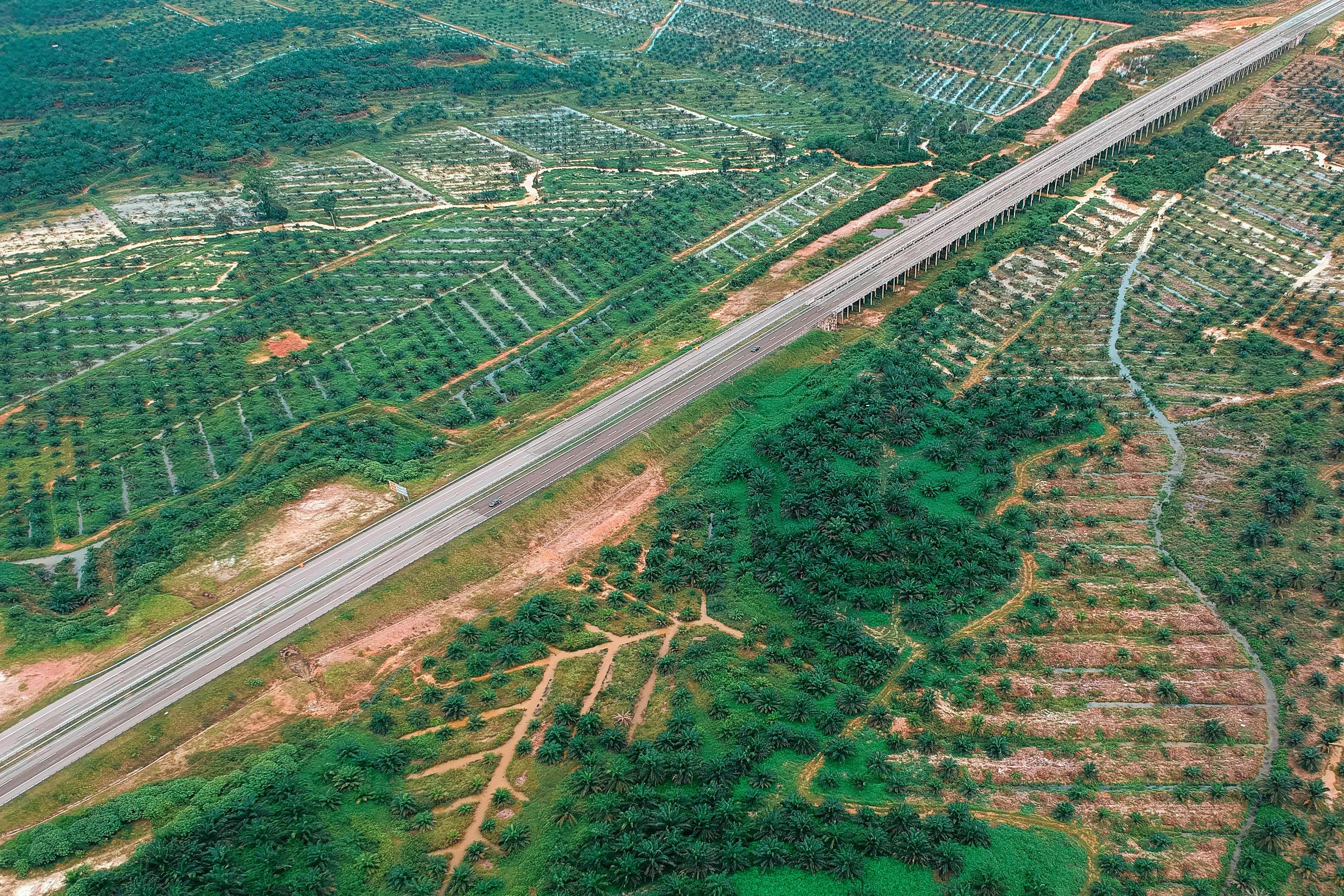 祁道高速最新线路图详解，全面解析线路走向与规划布局